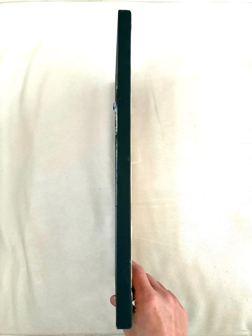 【秘蔵品】00年代イタリアヴェネツィアの芸術祭の熱狂を纏う 漆黒と光のアート