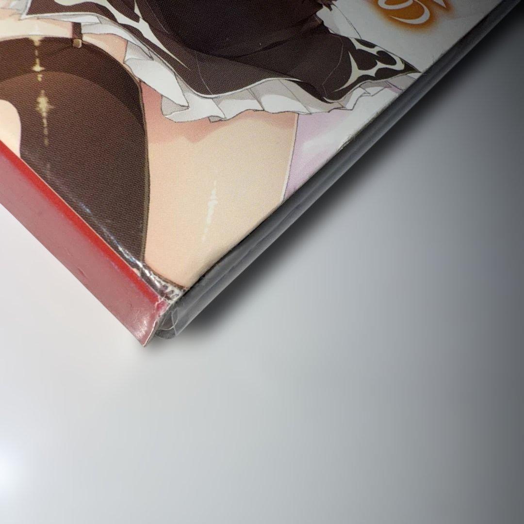 王輝　落第騎士の英雄譚　小説全巻セット　8、13、19特装版