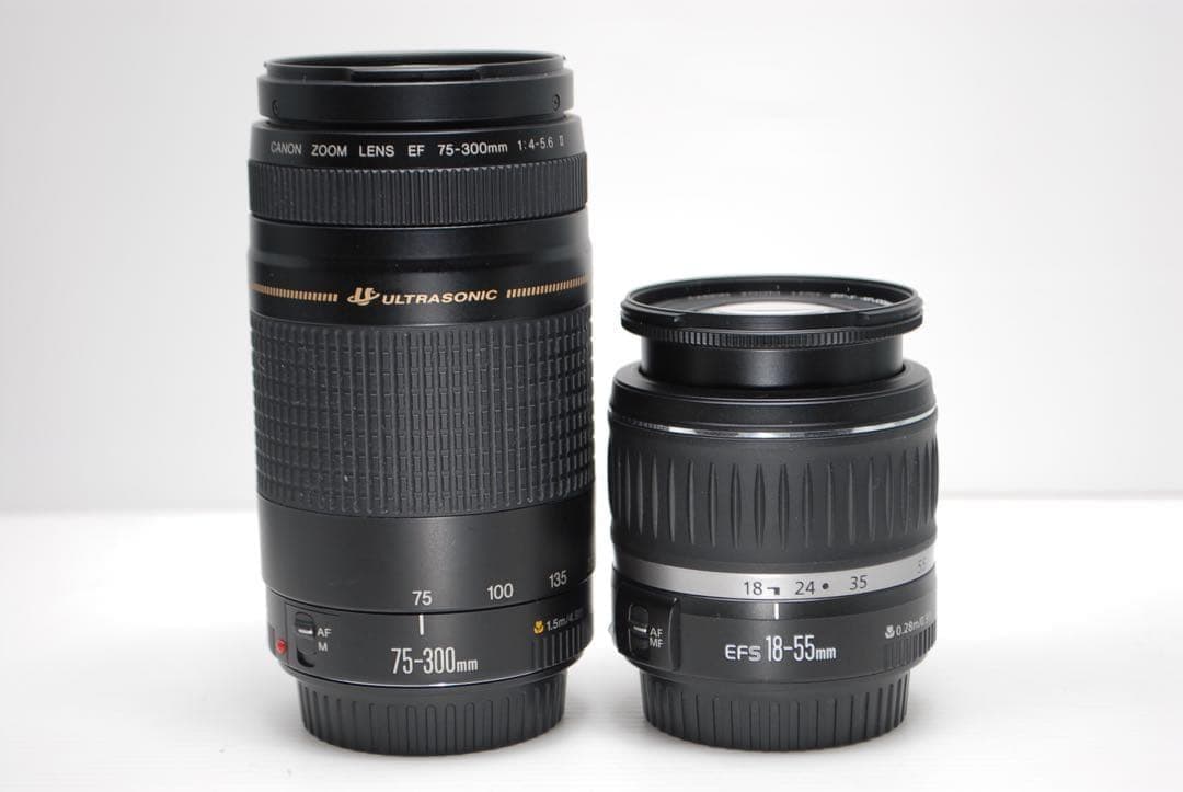 ❤️スマホらくらく転送OK❤️Canon EOS 70D高画質 高性能レンズ付き