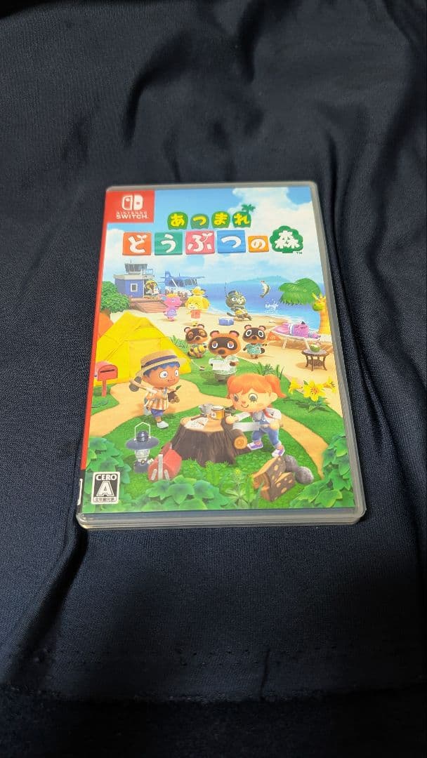 Nintendo Switch 本体 ドック どうぶつの森 セット