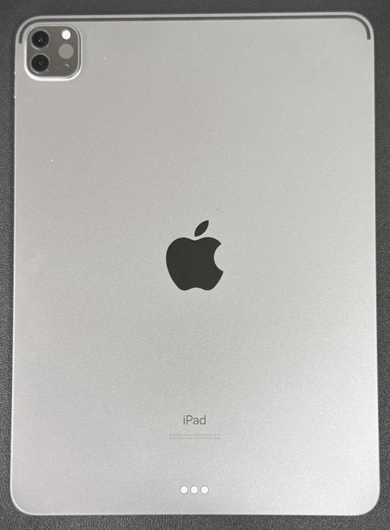 ★★★iPad Pro 11インチ Wi-Fiモデル 256GB おまけ付★★★