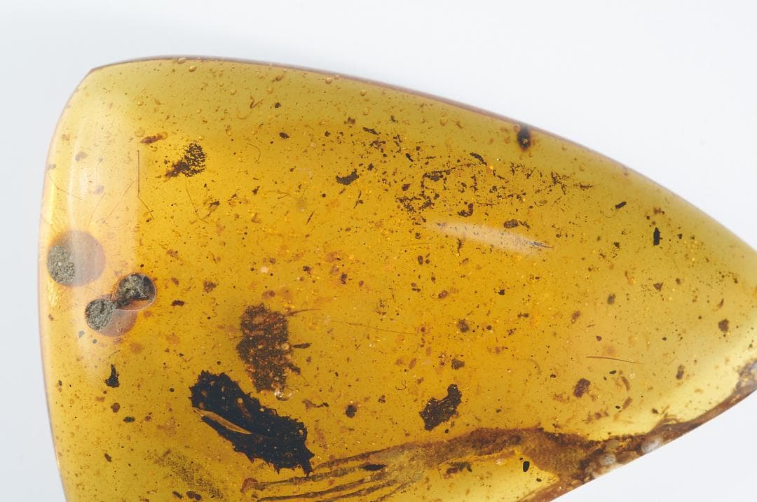 レア極上品 PA0083虫入り琥珀化石　ミャンマーカムティかタナイ9900万年前