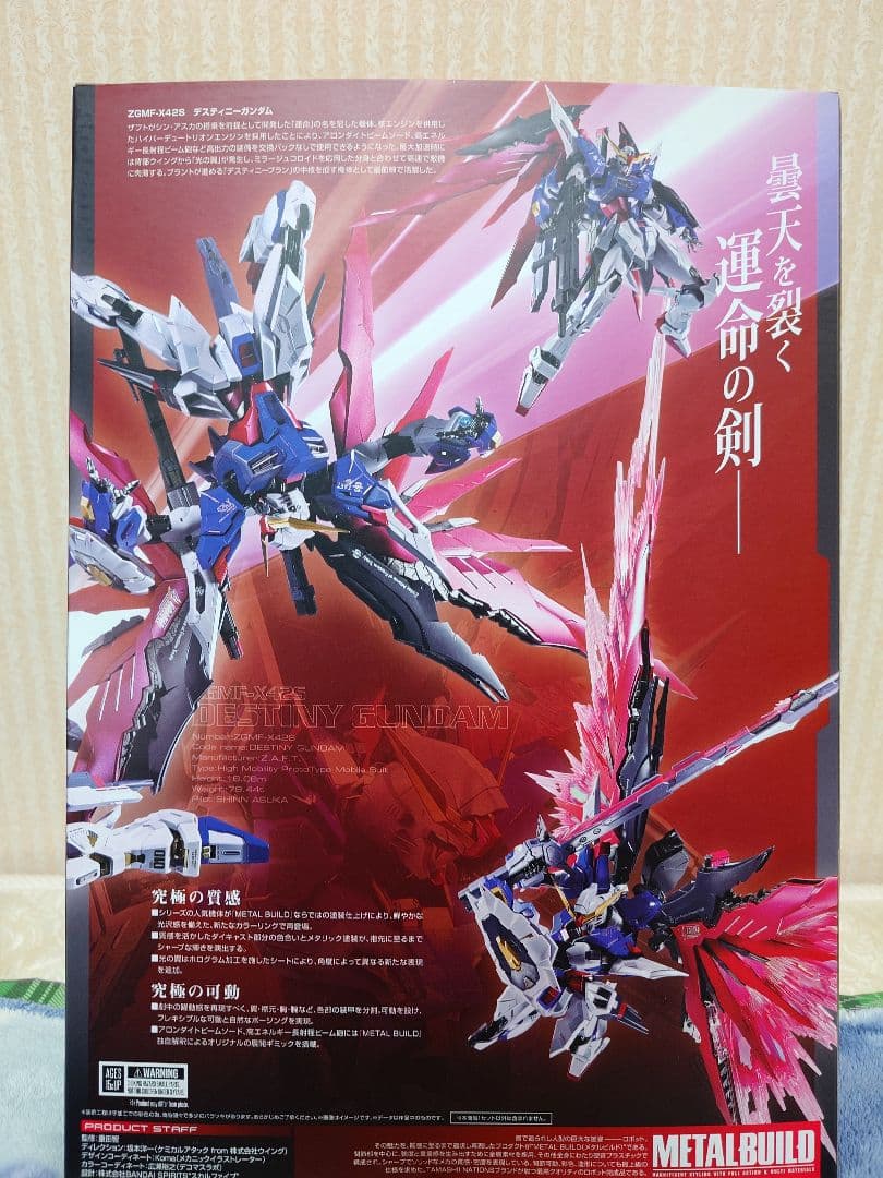 L BUILD デスティニーガンダム フルパッケージ