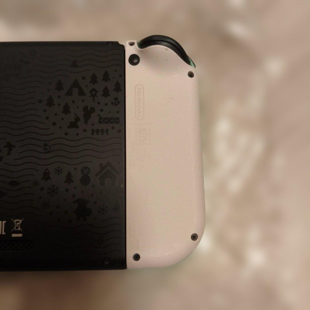 Nintendo Switch あつまれどうぶつの森エディション　おまけ付き