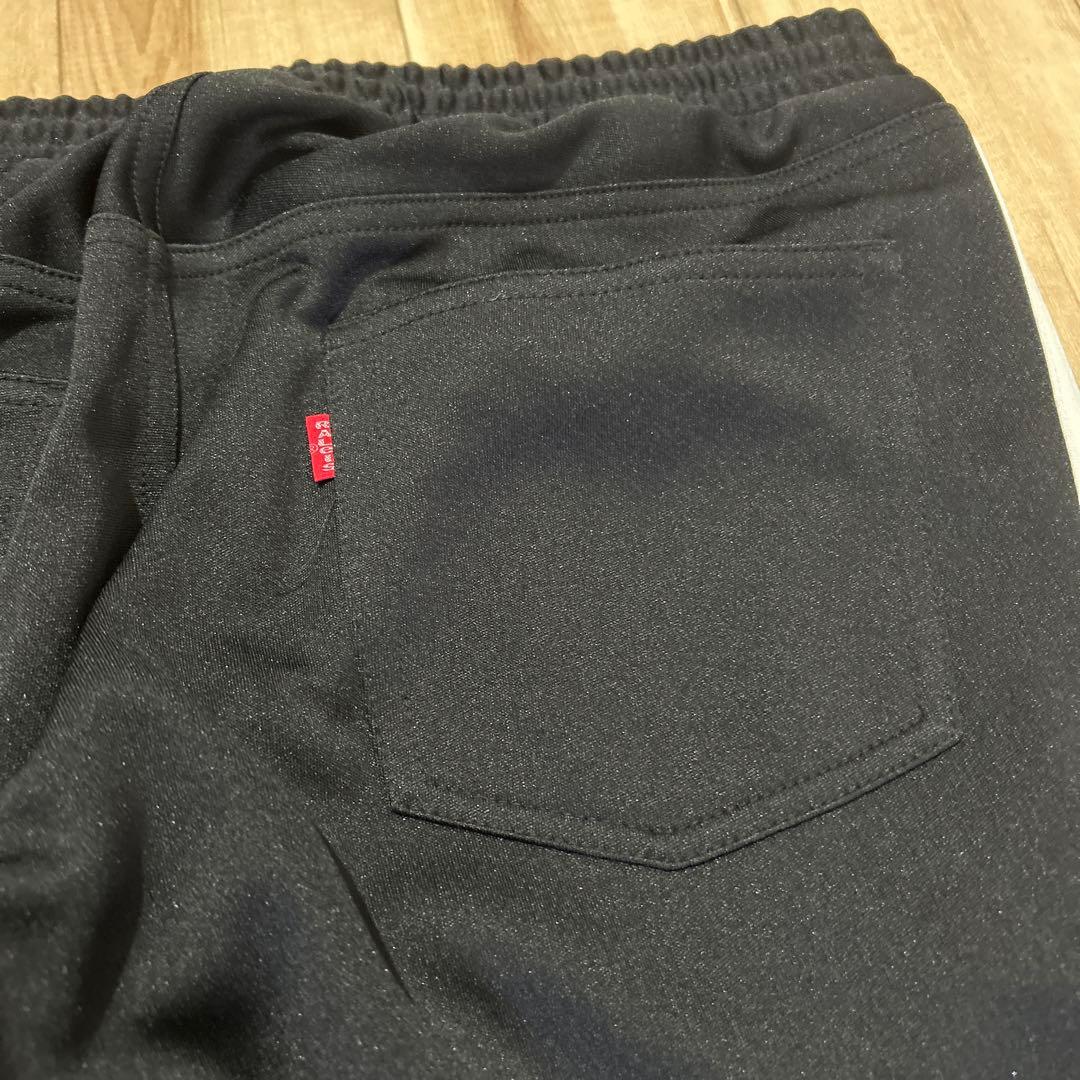 ラリー RALEIGHトラックスーツ cyberdyne RADIOTS 666