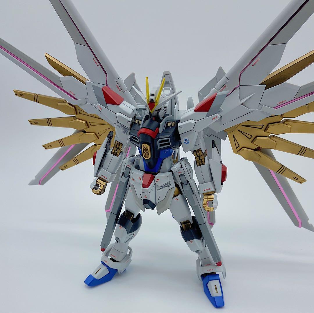 HGマイティーストライクフリーダムガンダム　全塗装　完成品　スタンド付き