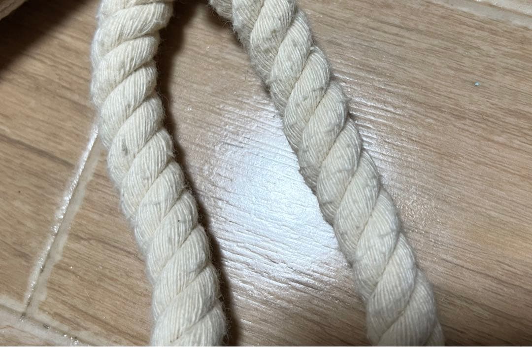 ディズニーシー Disney SEA オープニング オープン バッグ 超レア