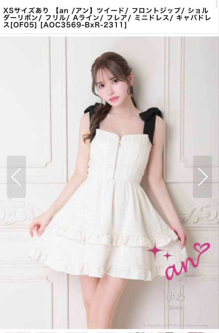 an Sサイズ フロントジップ Aライン ミニドレス