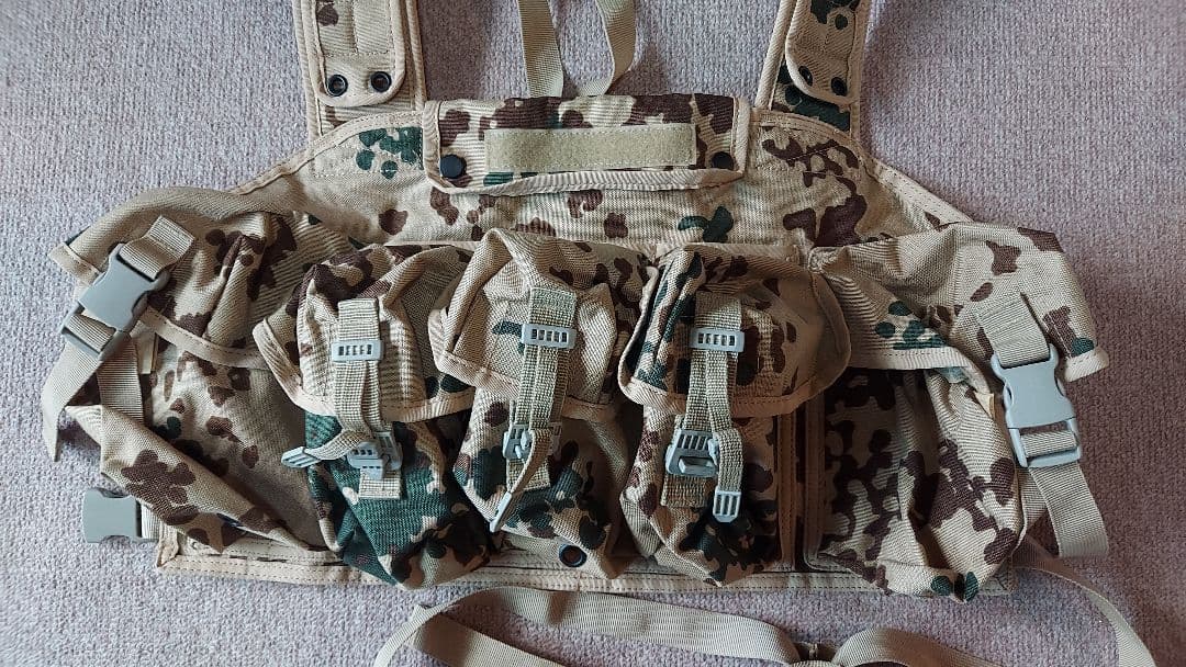 実物?　ドイツ連邦軍　フレックタン　チェストリグ