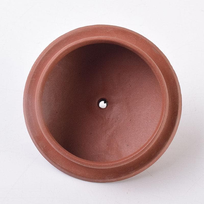 中国　紫砂　朱泥　急須　茶壷　在銘　V　R9047