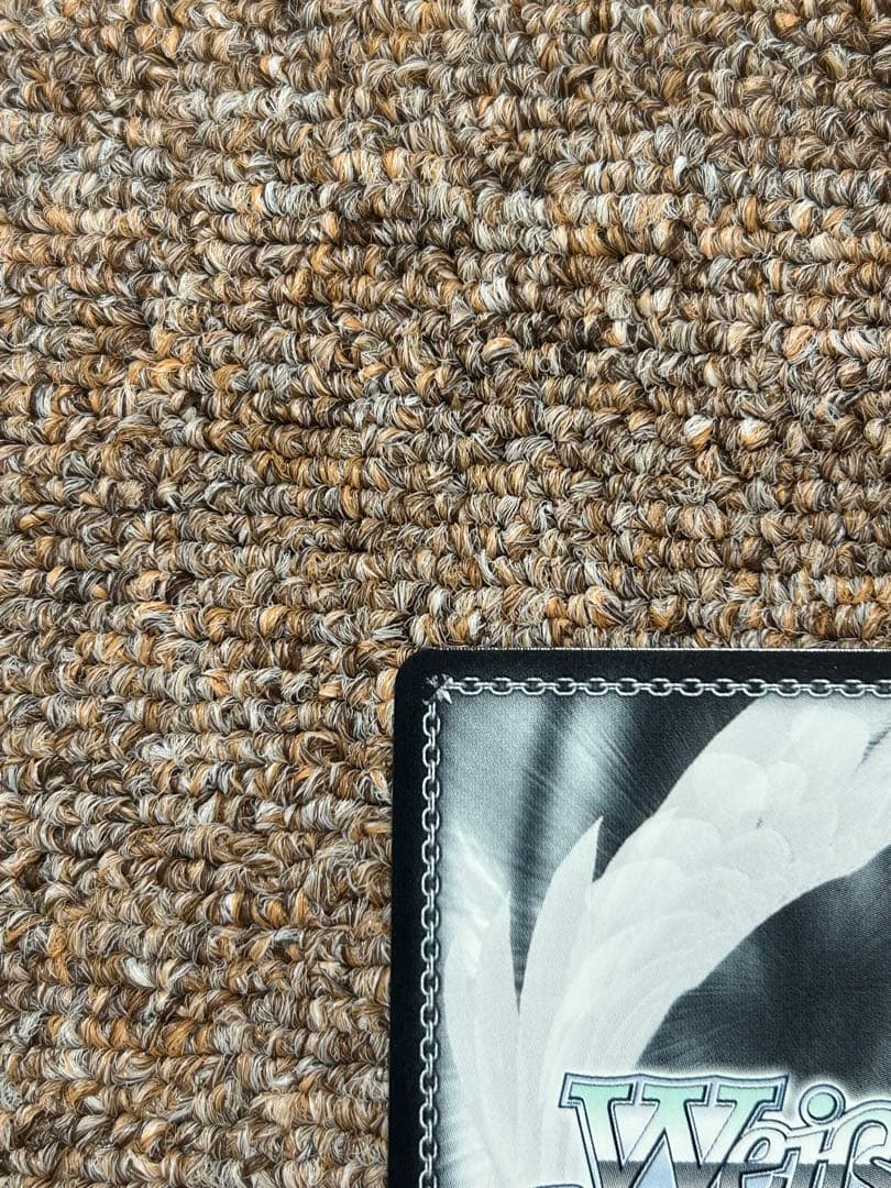 ヴァイス 仮初めの家族 ロイド＆アーニャ＆ヨル SP