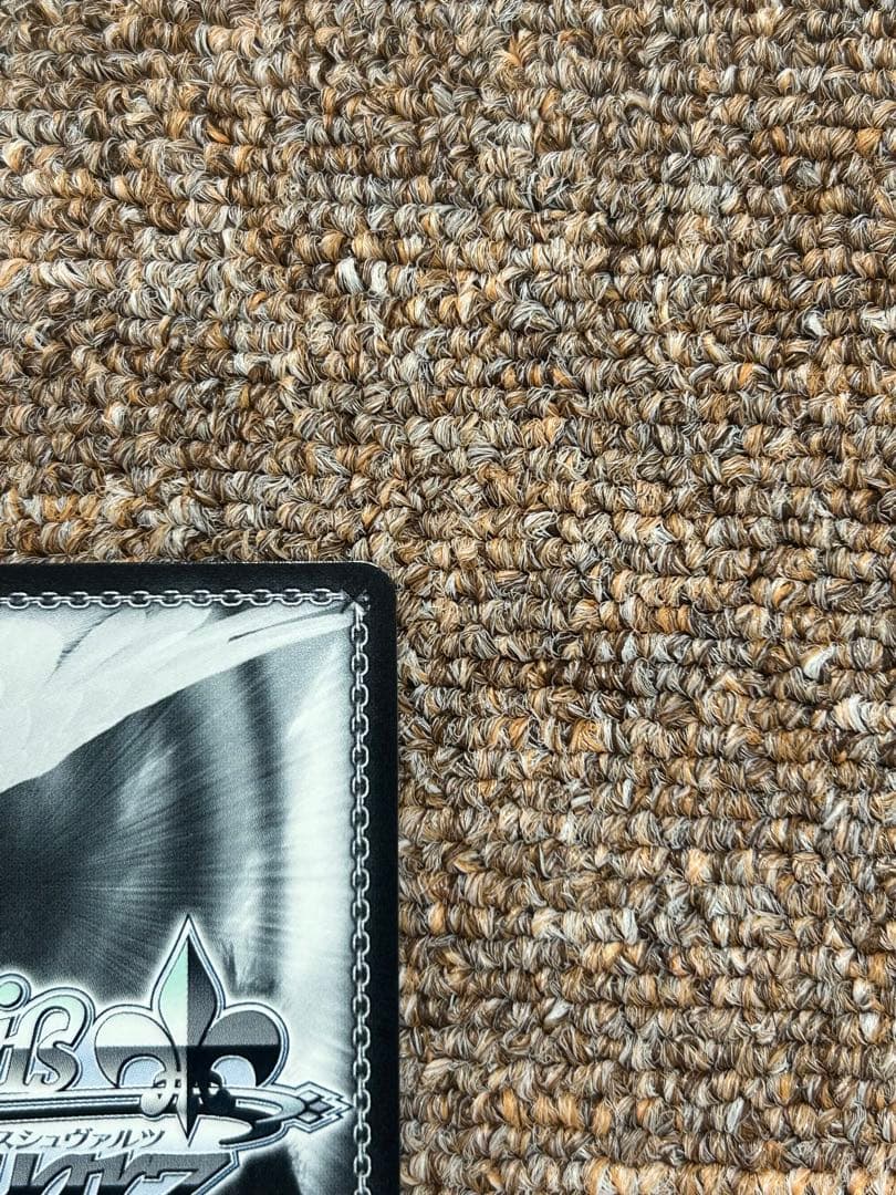 ヴァイス 仮初めの家族 ロイド＆アーニャ＆ヨル SP