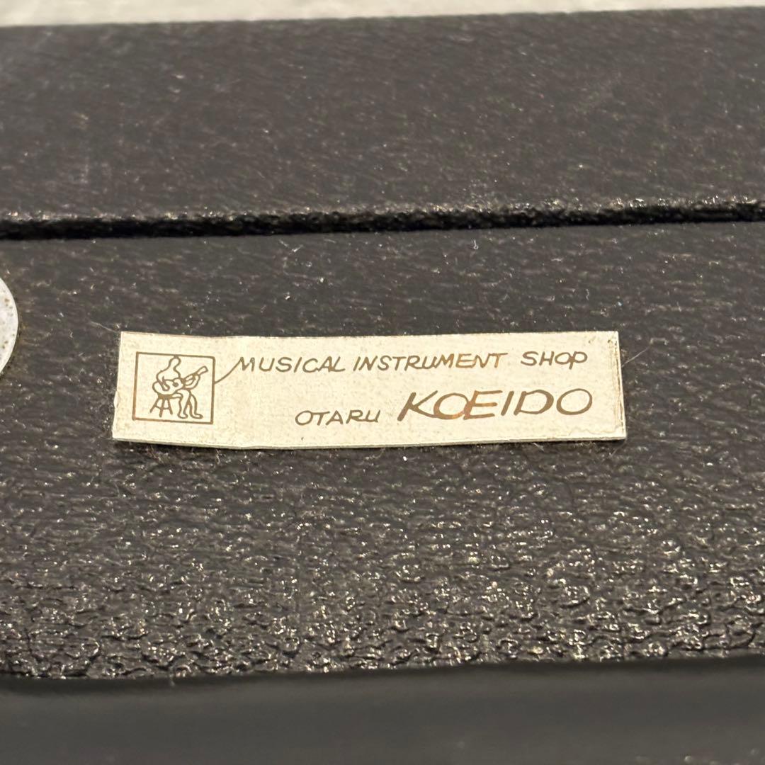 【希少品】FERNANDES フェルナンデス FST-70？　石ロゴ　ケース付き