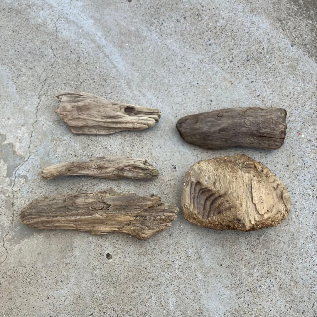 流木 5点セット 自然素材