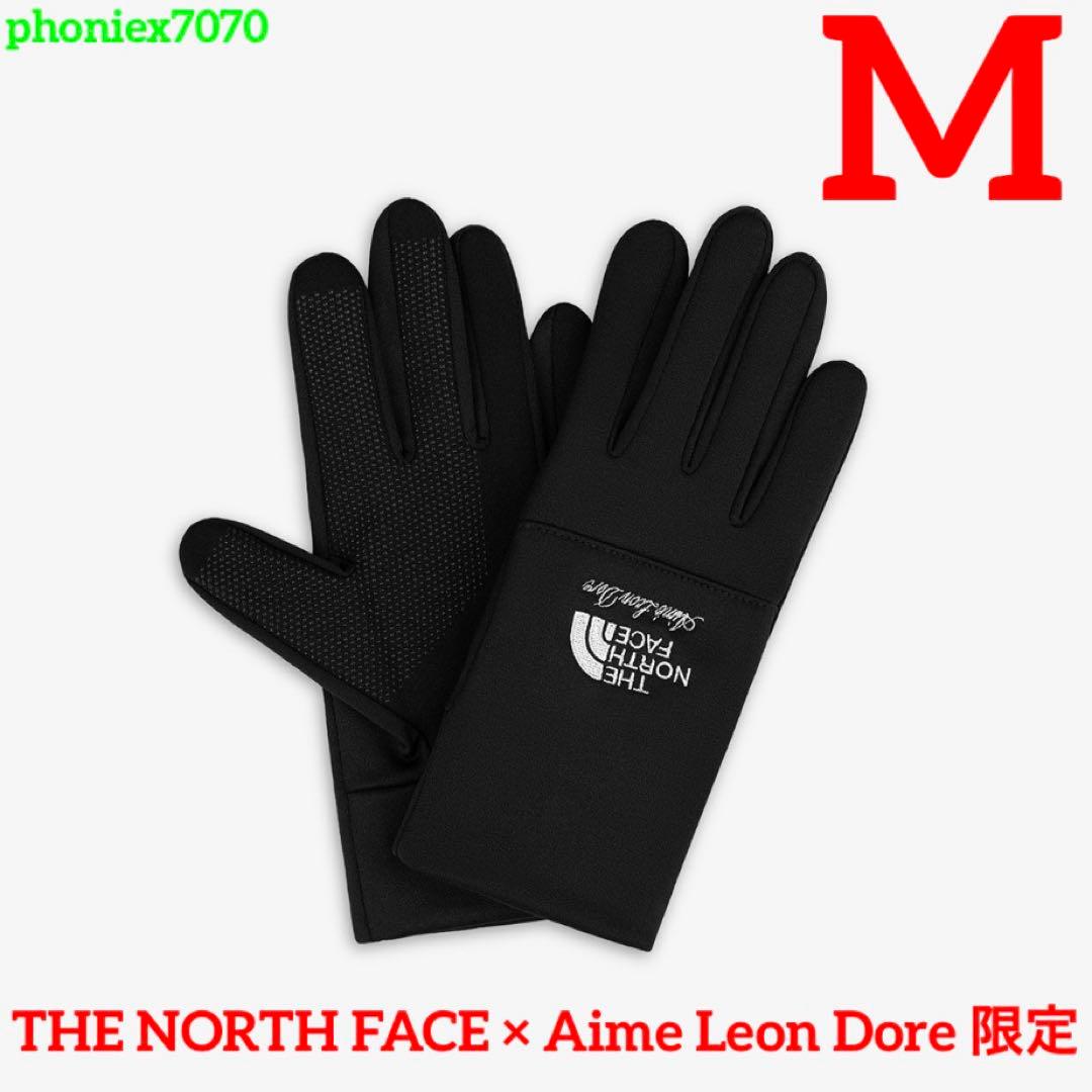 【TNF × Aime Leon Dore】Etip Glove【M】イーチップ