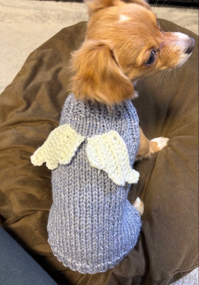 犬用ニットハンドメイド