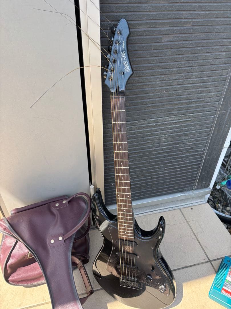 Black Dog by Aria pro Ⅱ