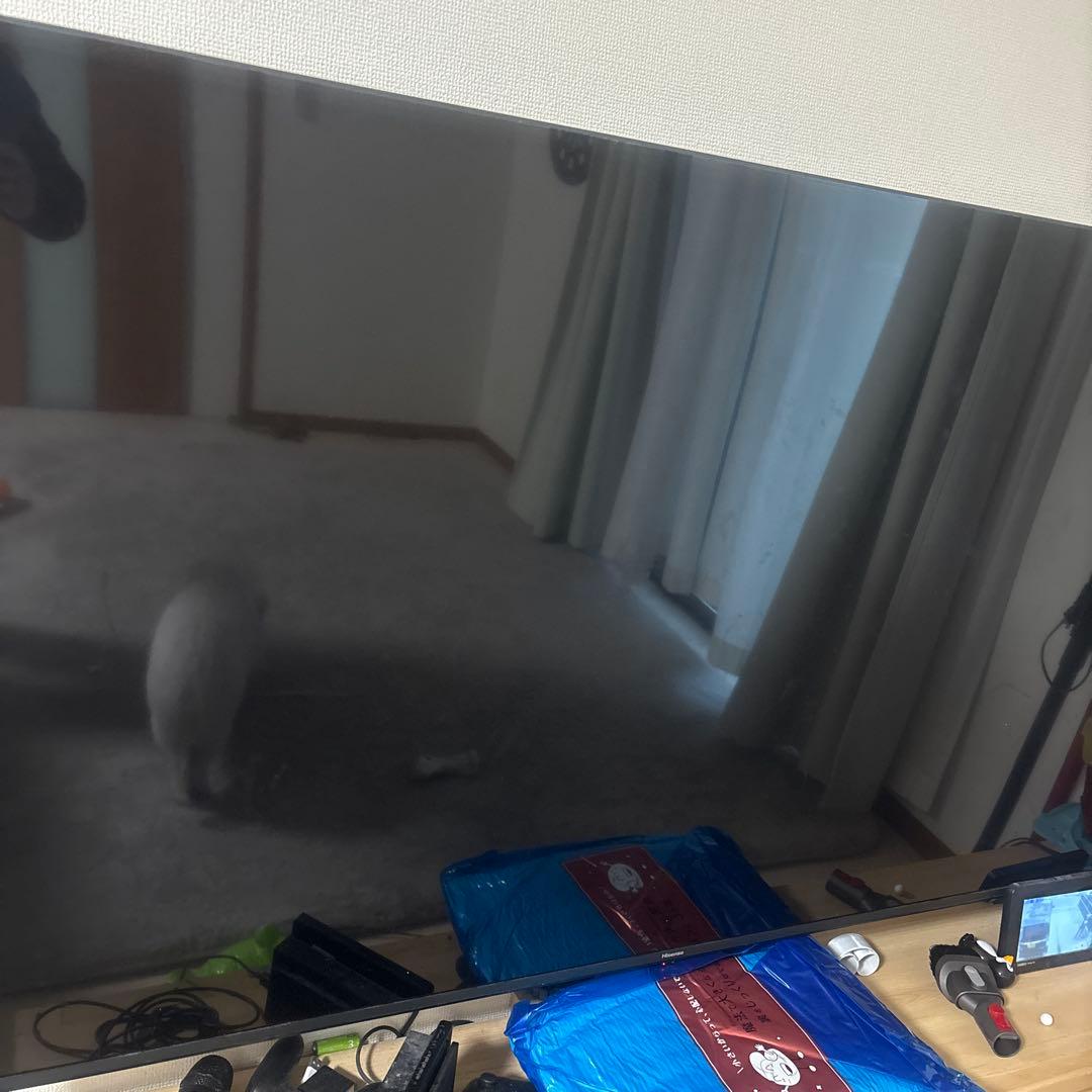 12/31まで　65E6K 65インチ 液晶テレビ　送料込み