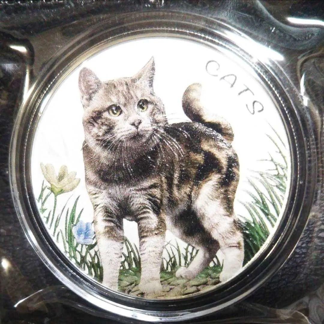 2022年 フィジー 猫シリーズ カラー版 庭で遊ぶ猫 1オンス銀貨 純銀