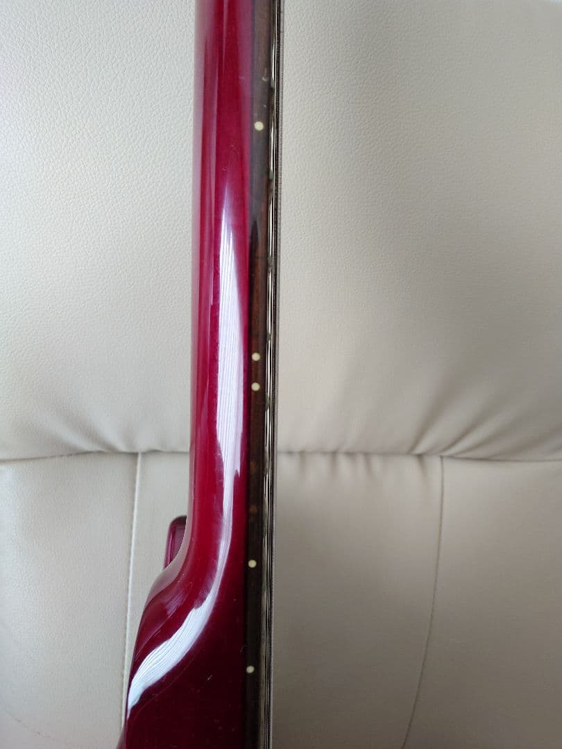 Paul Reed Smith(PRS) SE SoapbarⅡ