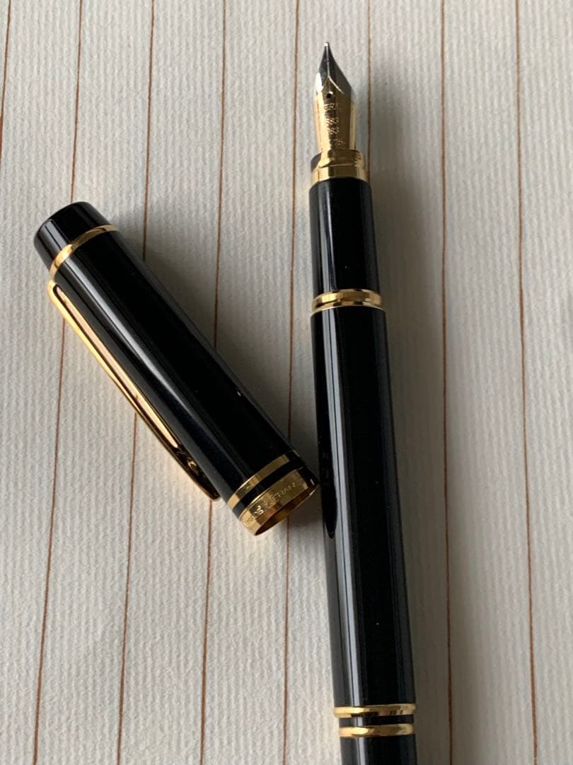 Waterman（ウォーターマン） 限定 MAN 100 万年筆