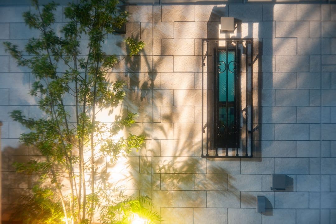 レンズ(単焦点) Canon Lens Serenar 50mm F1.8