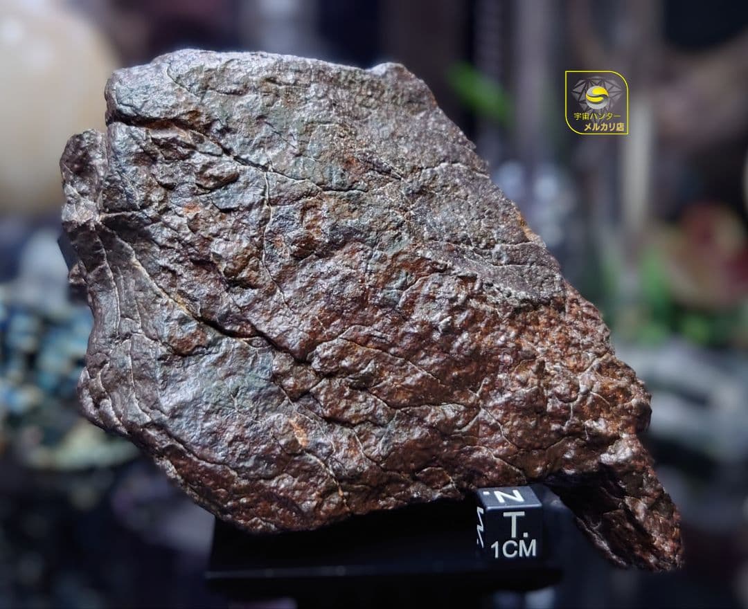 隕石　コンドライト L3 NWA XXX 991.5g ⭐⭐