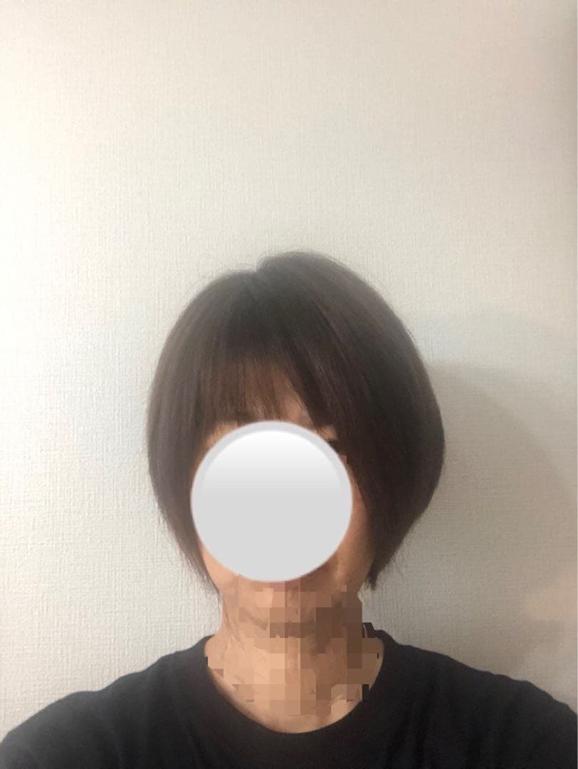 人気の　人毛ショートウィッグ ブラウン系　未使用