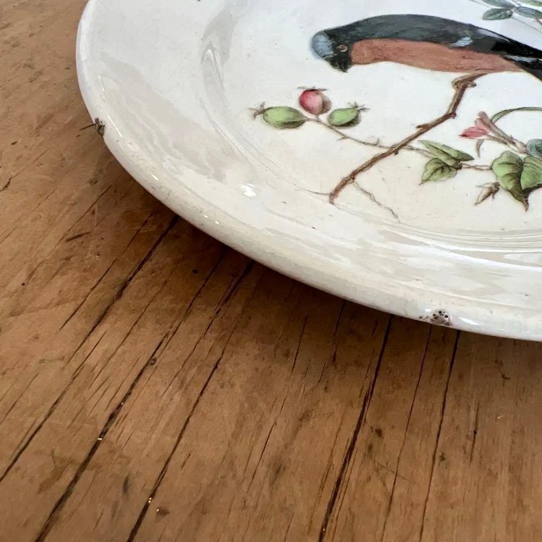 アンティーク　ジョン・モードロック・ロビン・プレート1800年代後半コレクター