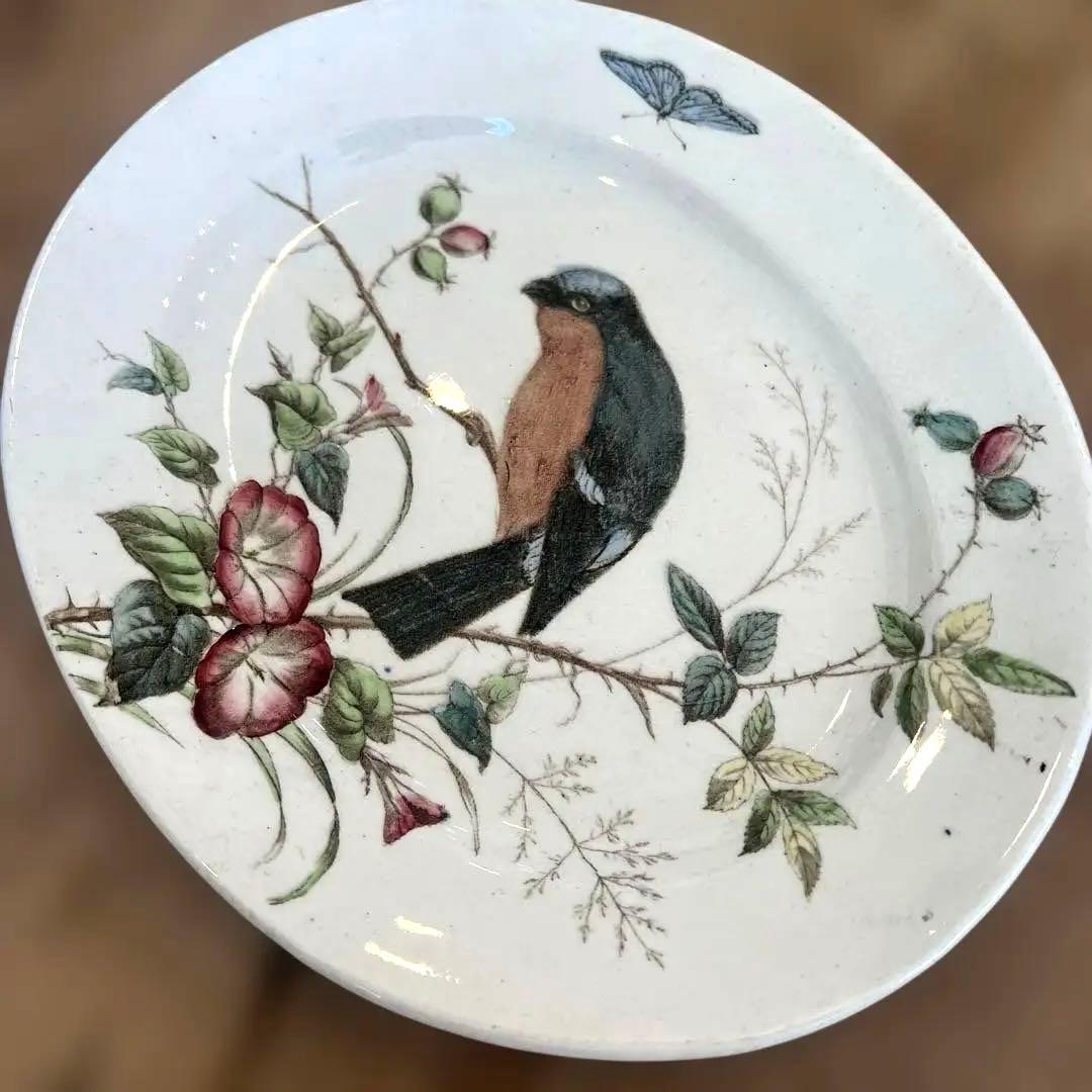 アンティーク　ジョン・モードロック・ロビン・プレート1800年代後半コレクター