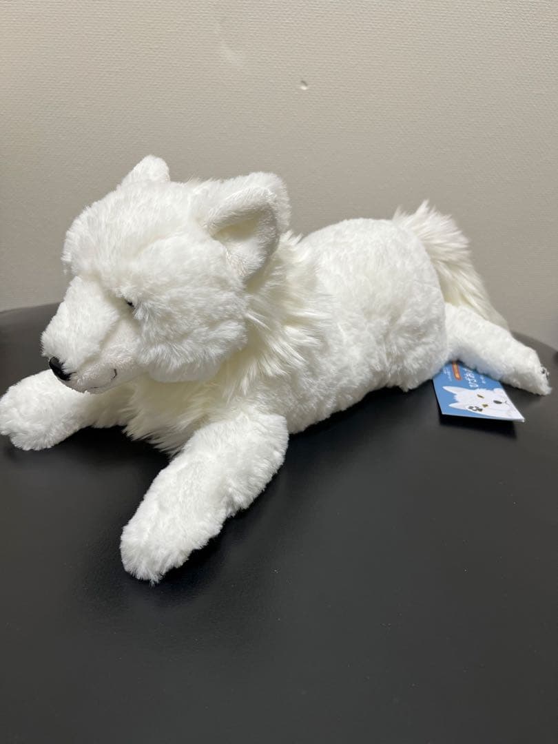 那須どうぶつ王国　ホッキョクオオカミ ぬいぐるみ ヒザオオカミ　Sサイズ
