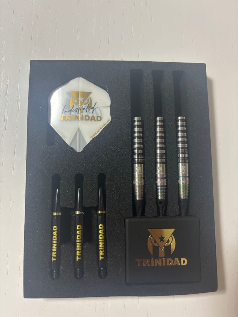 【美品】ロメカリ3 TRiNiDAD×Ryu(トリニダード×リュウ) ダーツ