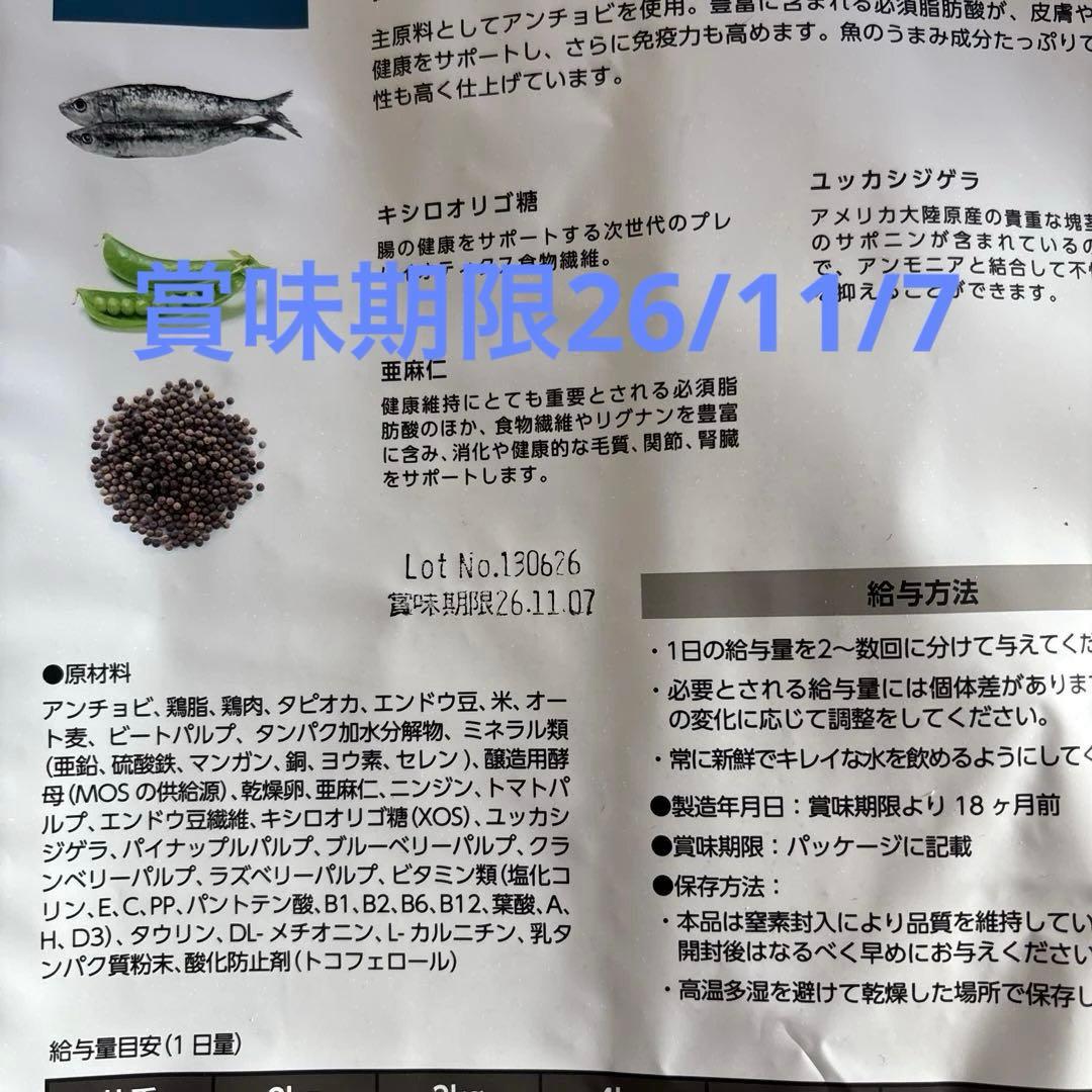 キャットフード成猫用BWild アンチョビ4.8kg賞味期限2026/11
