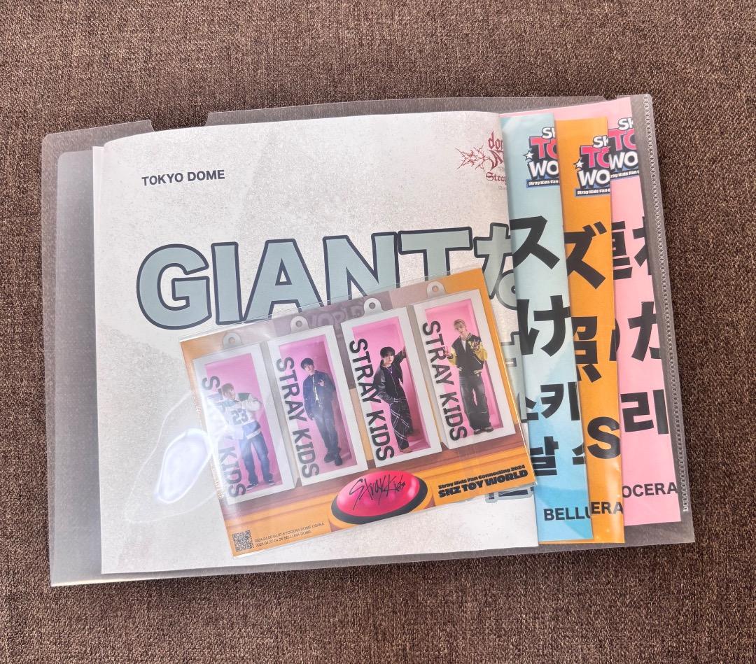 straykids Felix グッズまとめ売り