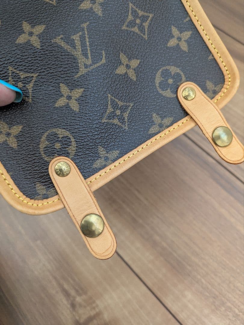 LOUISVUITTON　ペットキャリー