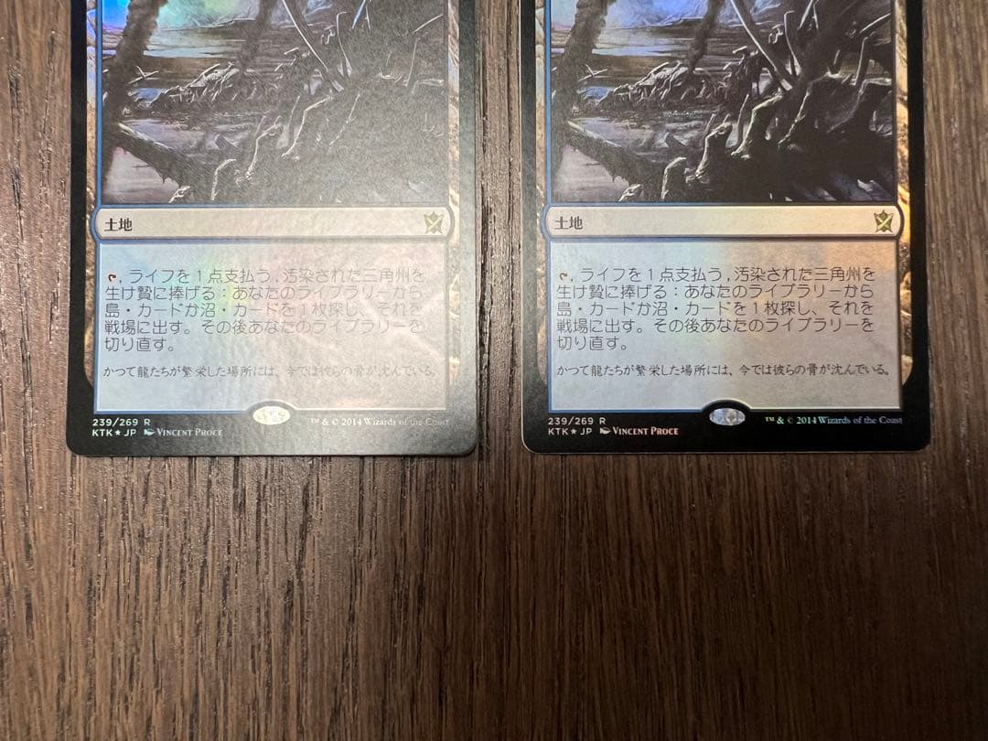 汚染された三角州 / Polluted Delta 日本語 foil