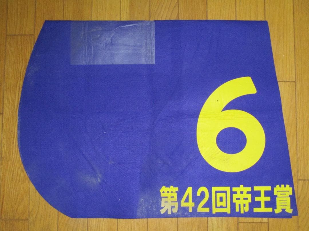 競馬 サウンドトゥルー第42回帝王賞実使用ゼッケン 森泰斗元騎手サイン入り
