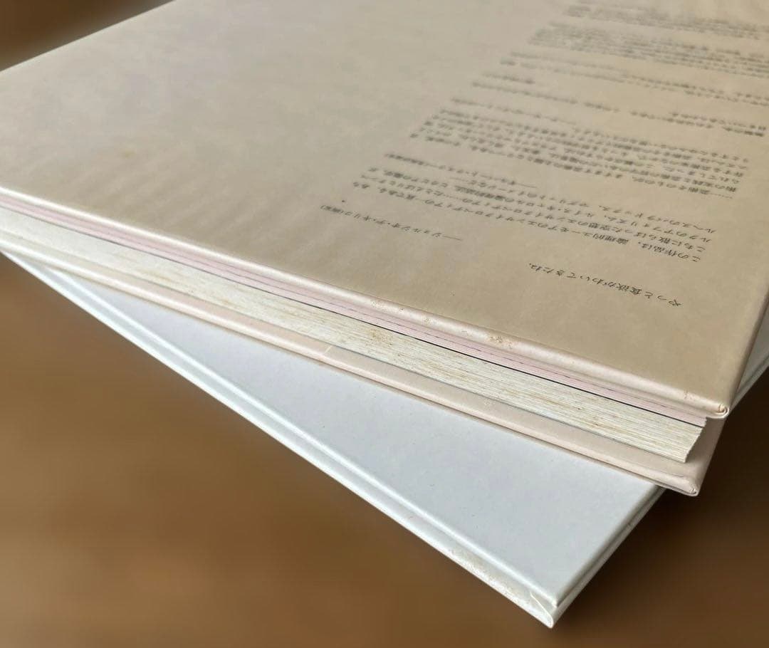 【希少】意味のメカニズム　荒川修作／マドリン・ギンズ　リブロポート