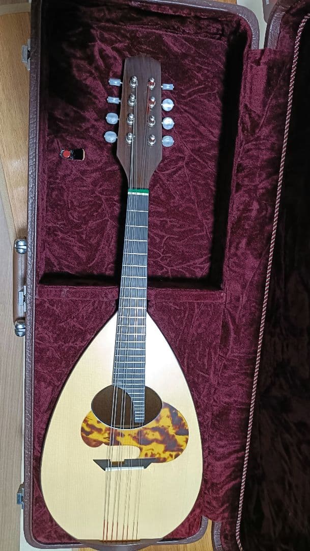 マンドリン 藤丸常夫 美品 No.80B