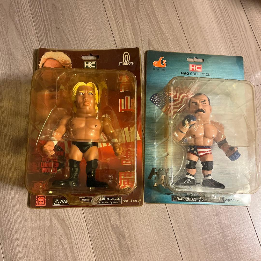 PRIDE超激レア・最終入荷高山善廣 × ドン・フライ 伝説プロレス　完品美品