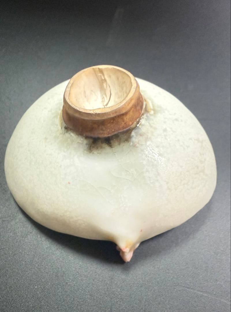 川端健太郎　盃　共箱、共布