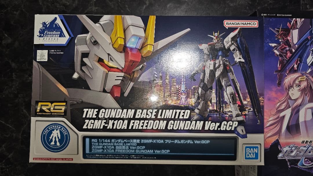RG フリーダムVer.GCP HGCE デスティニー、ライフリ　まとめ売り