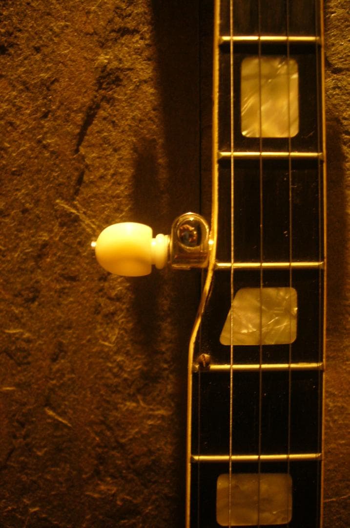 Ariana５弦バンジョー