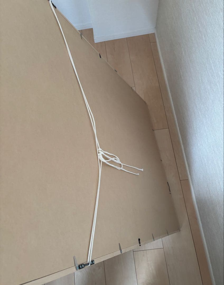 Fine Little Day ROSES ポスター 70x100cm