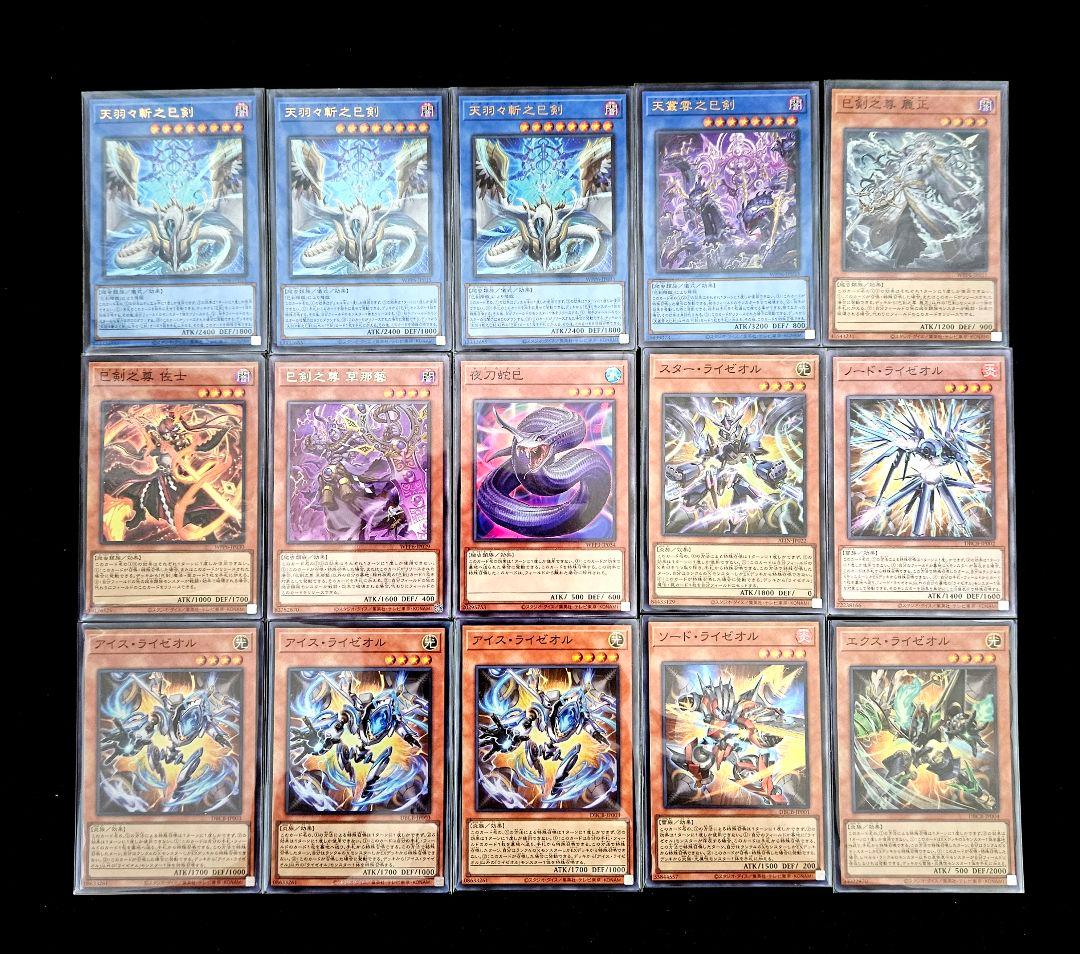 遊戯王 【本格構築‼️】巳剣 ライゼオル 構築済みデッキ‼️ 巳剣デッキ