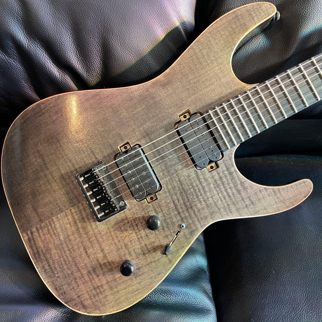 EDWARDS E-M-Ⅱ Custom smoky BK