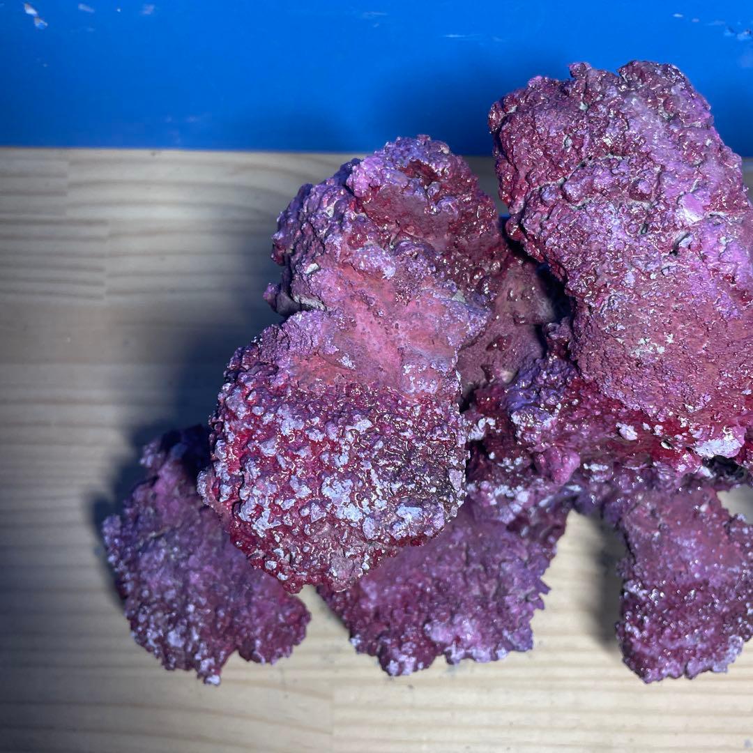 人工ライブロック　SHR06 アク抜き済み安心塗料使用