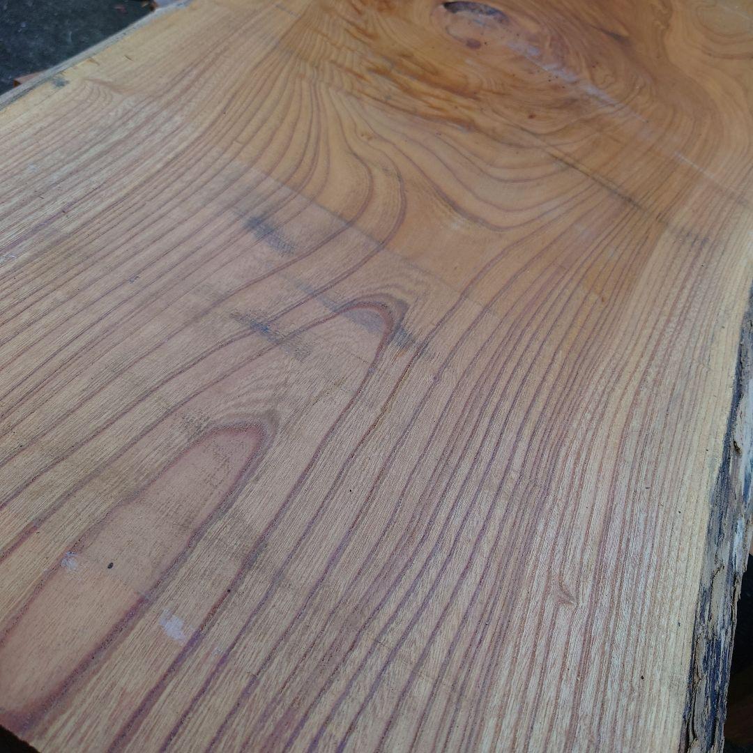 ジャンボ様の専用