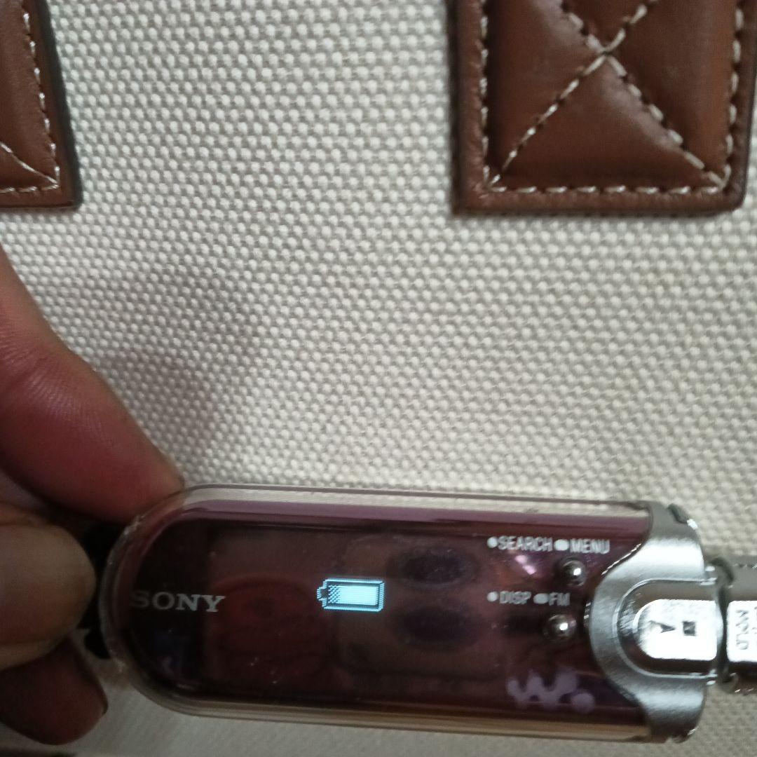 SONY ウォークマン WALKMAN NW-E505 本体 紫