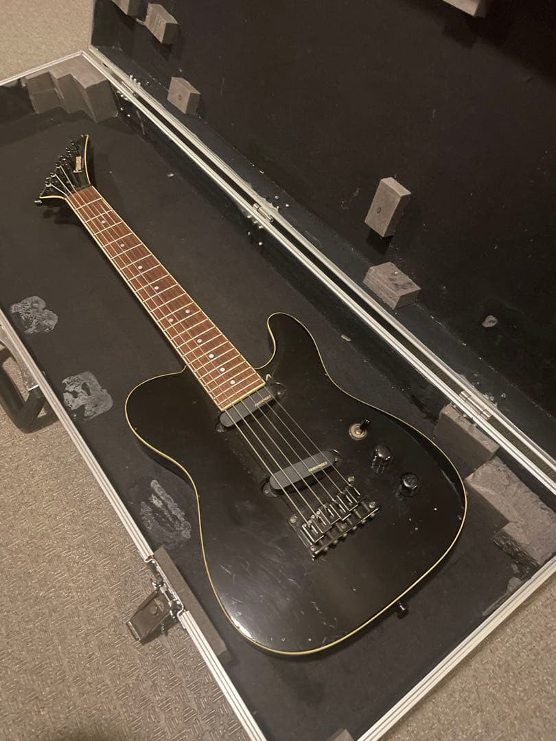 早い者勝ち FERNANDES mini TEJ